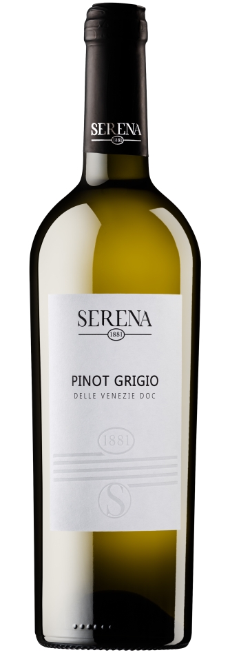SERENA 1881 Pinot Grigio Delle Venezie 2024 0,75