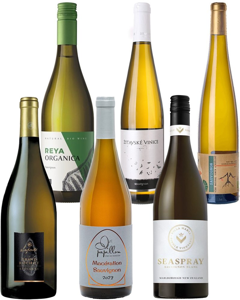 Balíček TOP Sauvignony