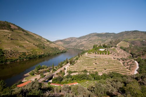 winery header