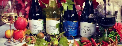 winery header