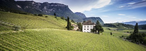 winery header