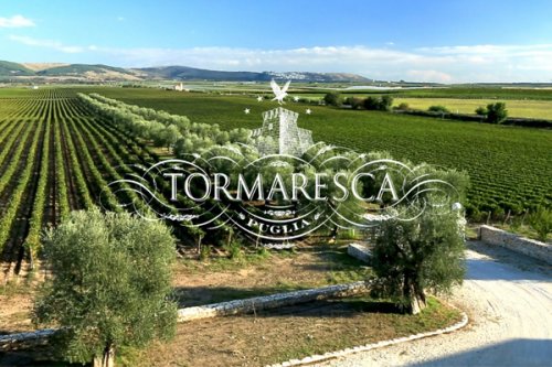 winery header