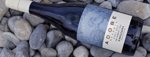 3. 2. - Pinot Noir vo svete