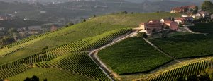 4.3. - ONLINE Degustácia s vinárstvom Antinori