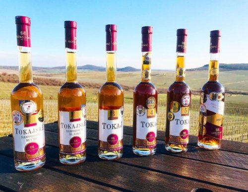4. 4. - Degustácia Ostrožovič