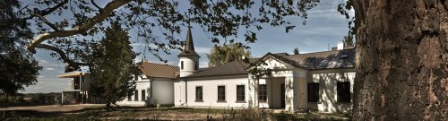 winery header