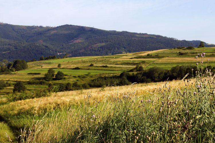 Slovenské jedlá a vína
