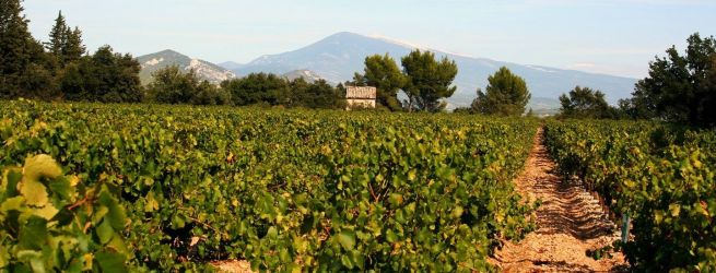 Zápisky zo Seminára "Vína južnej Rhôny"