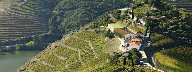 Ochutnajte jedinečné vína z Portugalska - Quinta do Crasto