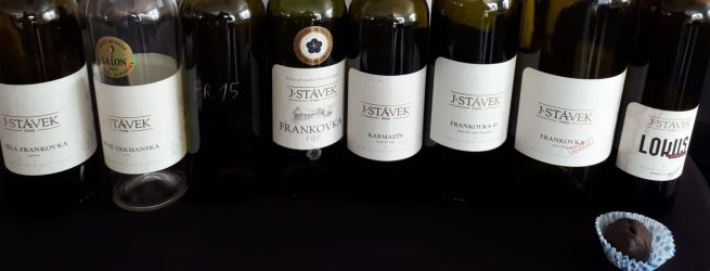 MasterClass s Frankovkou J. Stávek