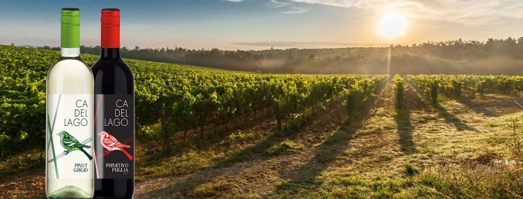 Ca del Lago – talianske vína za výhodnú cenu
