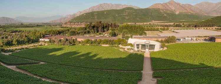 Čile, krajina štýlových vín