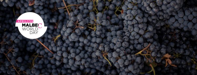 17. 4. oslavujeme 15. ročník Malbec Day - uplatnite si kód pre zľavu
