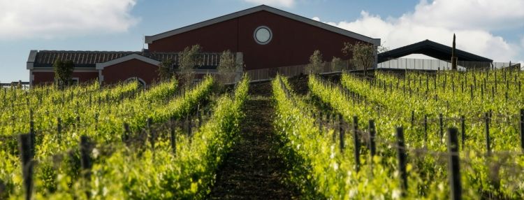 Vínna cesta po Toskánsku