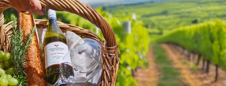 Letný piknik – vína pre slnečné dni