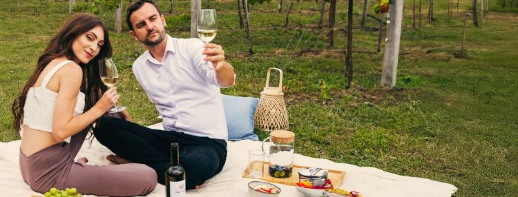 Slovenské vinárske regióny - rozmanitosť ukrytá v pohári vína