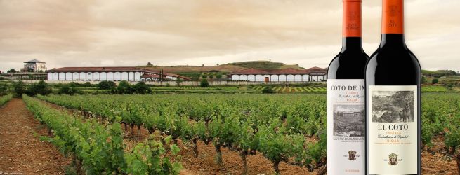 Grupo Barón de Ley vstupuje do Ribera del Duero: Víno, ktoré spája minulosť s budúcnosťou