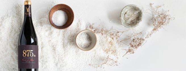 Medzinárodný deň pre Tempranillo