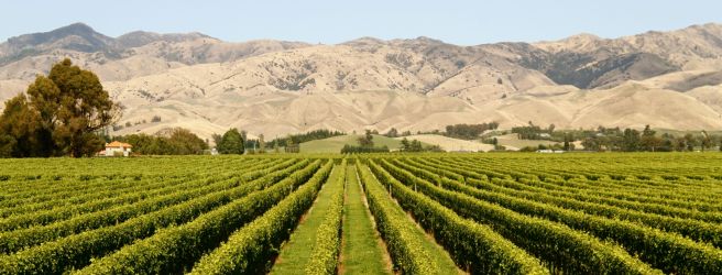 Ochutnávame Austráliu a Nový Zéland