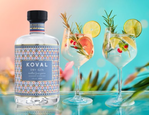 GIN & June -20%
