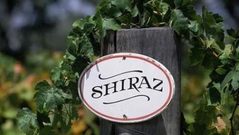 Nie je Syrah ako Shiraz