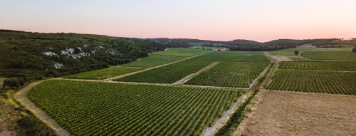 Grenache/Garnacha - jedna odroda a nekonečne veľa možností