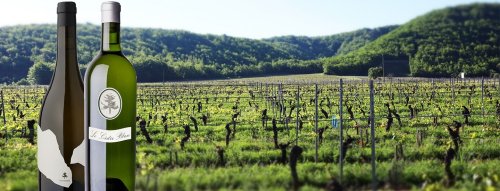 Zápisky z MasterClass Château du Cédre