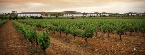 Aké sú vína zo španielskej oblasti La Rioja