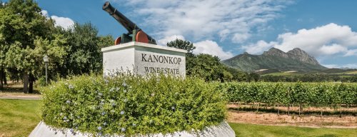 Kanonkop Pinotage Black Label prvý krát na Slovensku