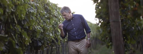 Renzo Cotarella získal prestížne ocenenie Winemakers’ Winemaker Award 2026