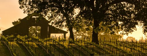 Najlepšie vinice sveta - TOP 50 World´s Best Vineyards 2020 