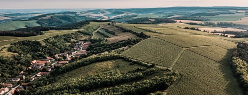 Tűzkő Birtok - vinárstvo pod taktovkou Antinori