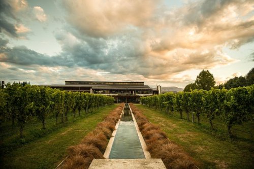 Villa Maria - TOP vinárstvo z Nového Zélandu