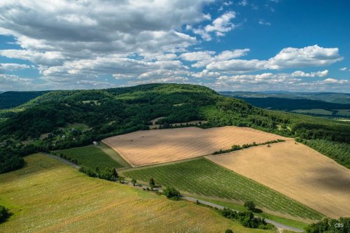 VÍNO NATURAL Domin & Kušický