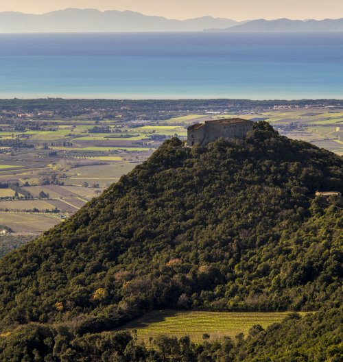 Tenuta San Guido