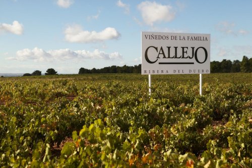 Bodegas Felix Callejo