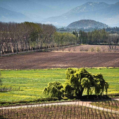 Haras de Pirque