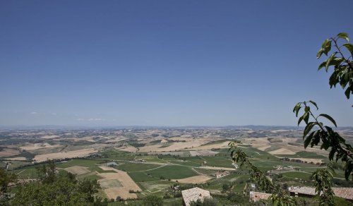 Pian delle Vigne