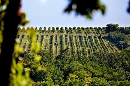 Chateau Rúbaň