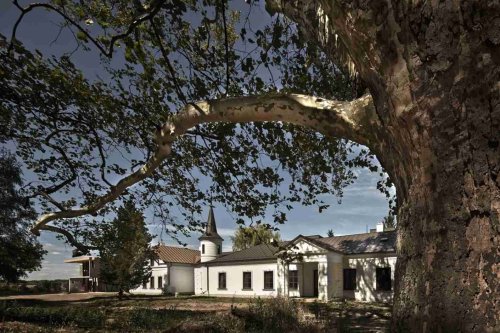 Chateau Rúbaň