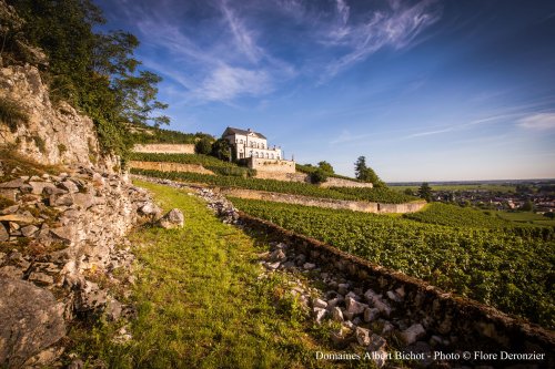 Winery header