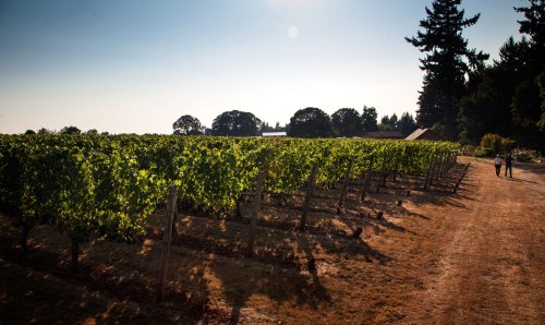 Winery header