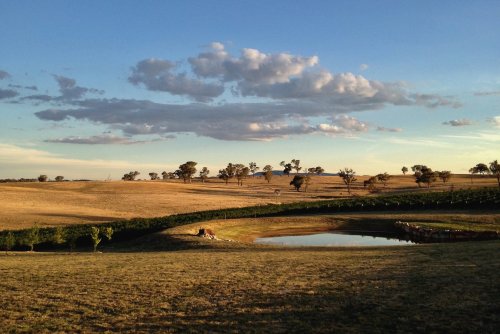 Winery header