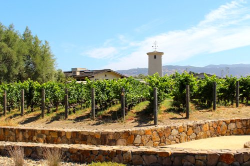 Winery header