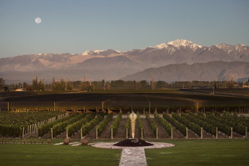 Winery header