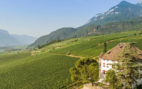 Winery header