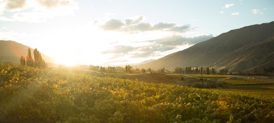 Matua Valley