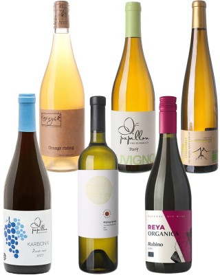 Balíček TOP BIO vína zo Slovenska