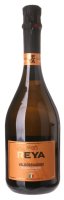 Reya Valdobbiadene Prosecco Superiore 0,75L, DOCG, rNV, sum, bl, exdry