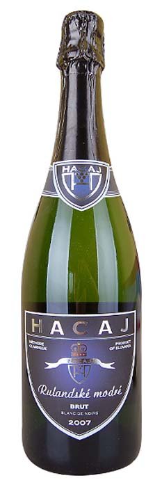 Hacaj Rulandské modré Brut 0,75L, r2008, pestskt, bl, brut